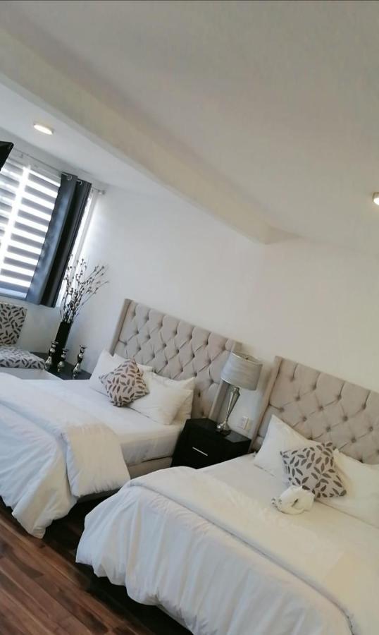 מורליה M Hoteles Concepto מראה חיצוני תמונה